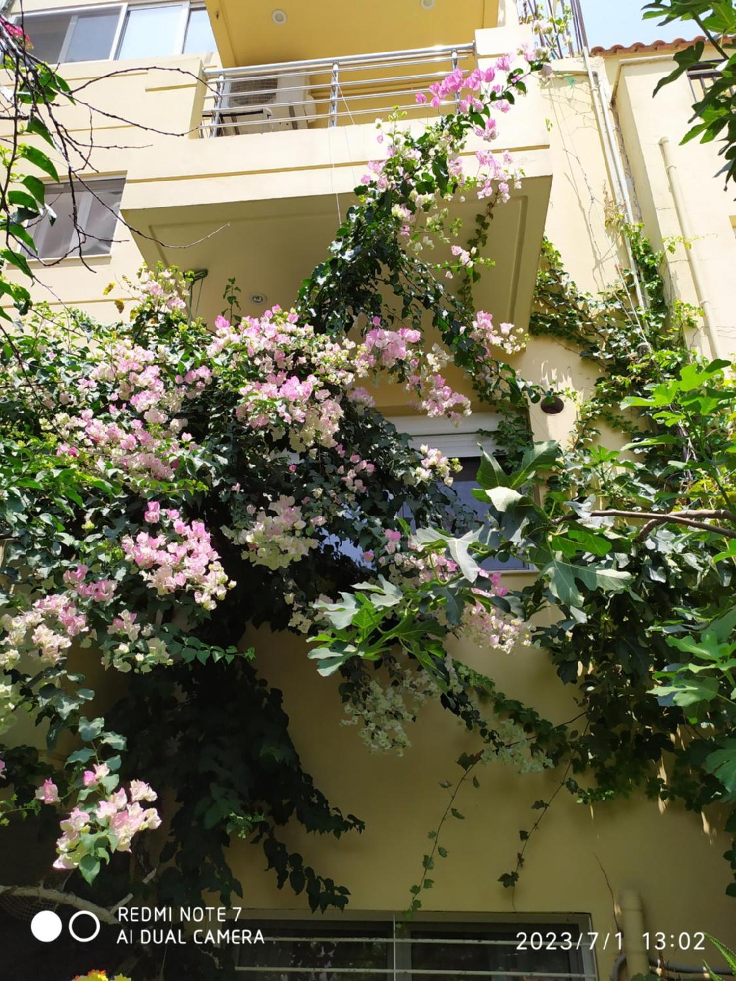 Georgia'S Family Apartment Heraklion  Ngoại thất bức ảnh